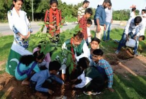 Plant for Pakistan