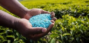 Substandard fertilizer mafia